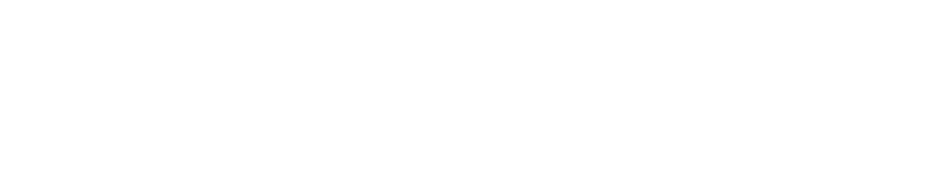 Physio Rosenau